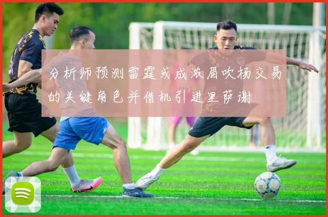 分析师预测雷霆或成浓眉吹杨交易的关键角色并借机引进里萨谢